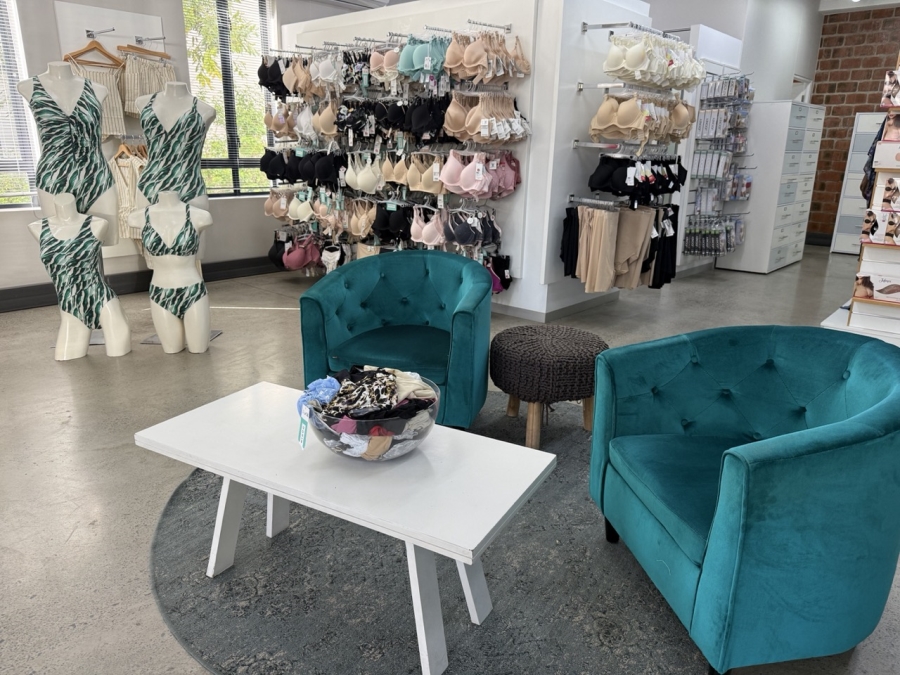 To Let Commercial Property for Rent in Paardevlei Western Cape